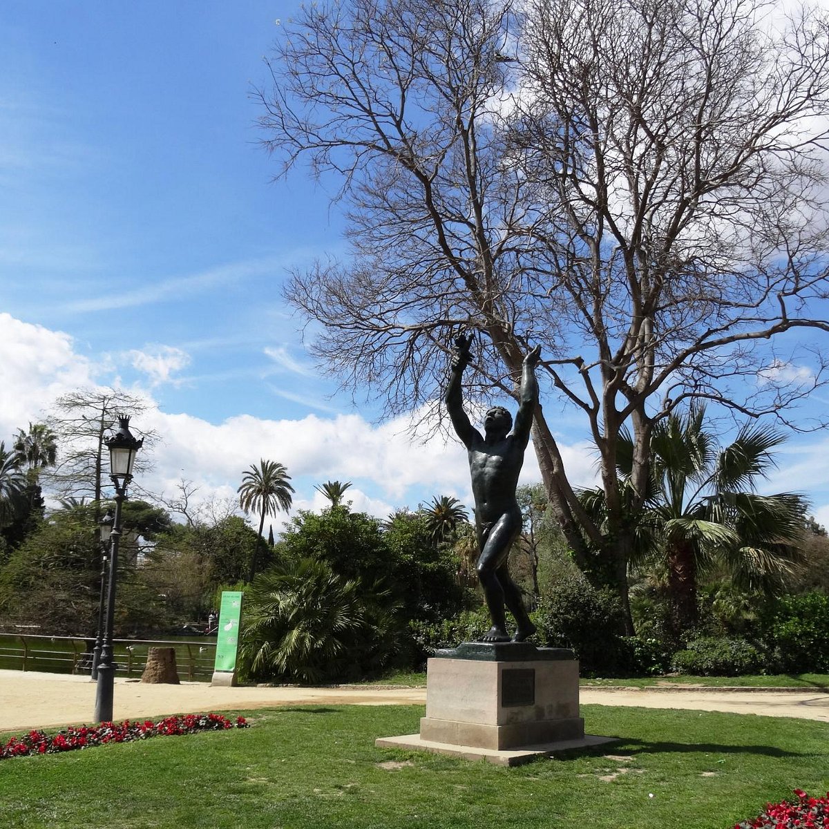 Monumento a Los Voluntarios Catalanes, Барселона: лучшие советы перед  посещением - Tripadvisor