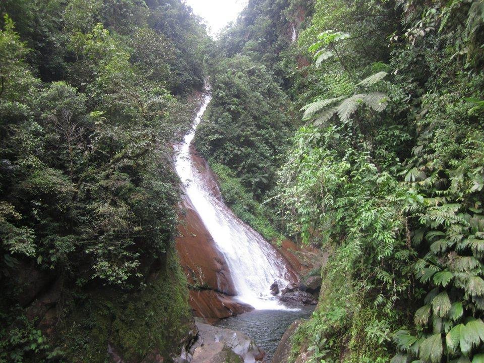 CATARATA DE VELO DE LA NOVIA UCAYALI PERÚ