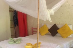 Phòng & Phòng Suite