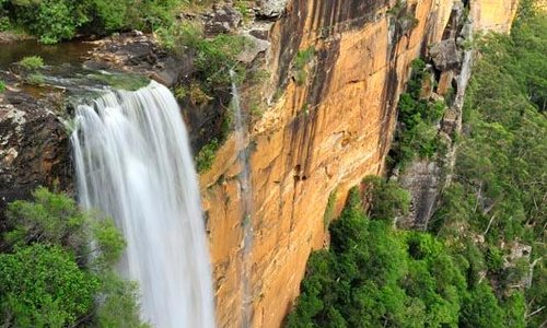 Fitzroy Falls, Australia 2023: Best Places to Visit - Tripadvisor