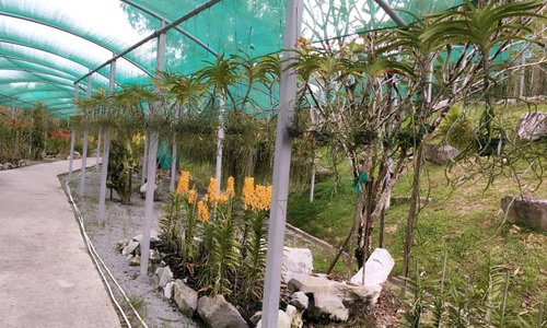 Orchid Park