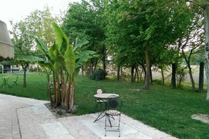 Viaggiatori