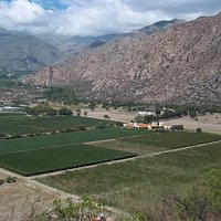 Panorámica de los viñedos Bodega Amalaya