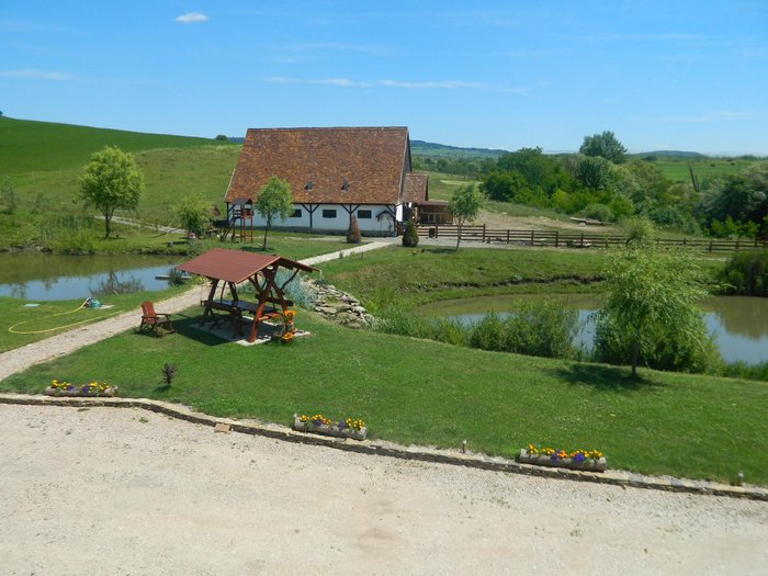 PENSIUNEA VIOLETA - Guest house Reviews (Saschiz, Romania)