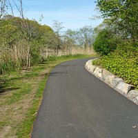 Jogging / Dog running / Baby strolling path at Alley Pond Park