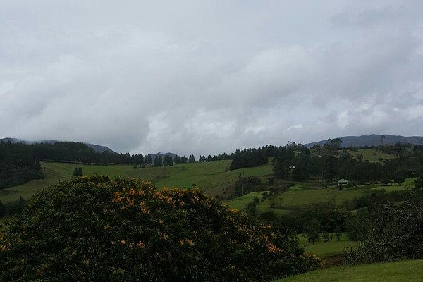 KURNIK, La Calera - Menu, Preços & Comentários de Restaurantes