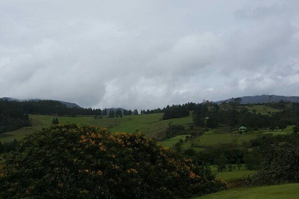 KURNIK, La Calera - Cardápio, Preços & Comentários de Restaurantes