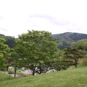 和歌山県の遊園地 ベスト5 トリップアドバイザー