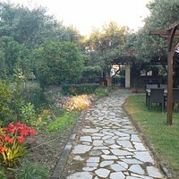 The garden