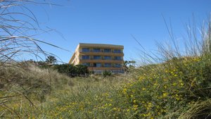 GRUPOTEL NATURA PLAYA $90 ($̶1̶0̶4̶) - Updated 2023 Prices & Hotel Reviews  - Playa de Muro, Spain