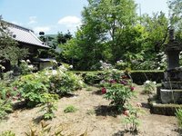 放光寺 口コミ 写真 地図 情報 トリップアドバイザー