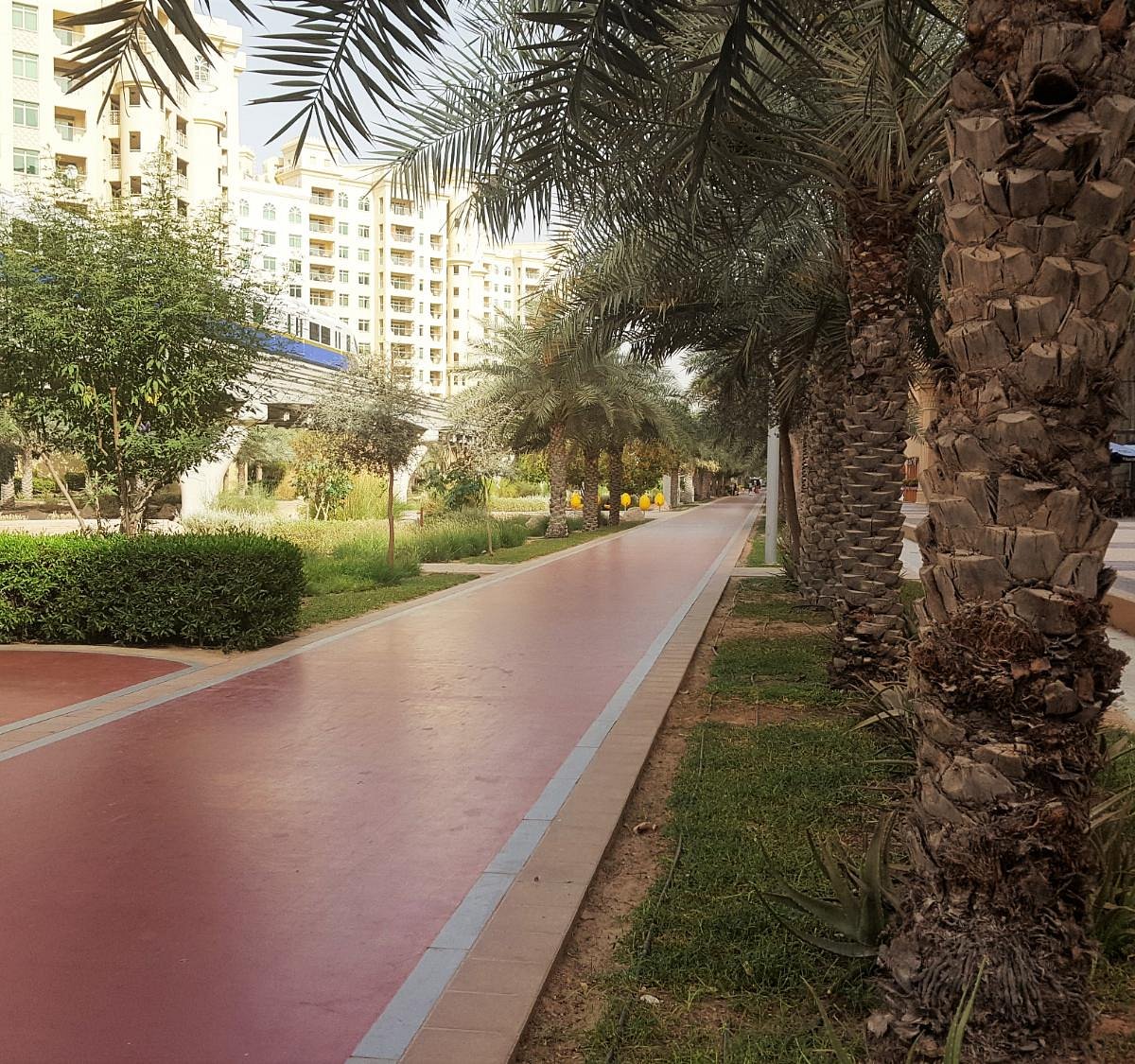Al Ittihad Park (Dubai) All You Need to Know BEFORE You Go
