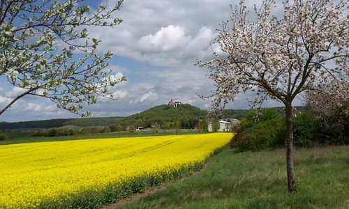 sooo schön