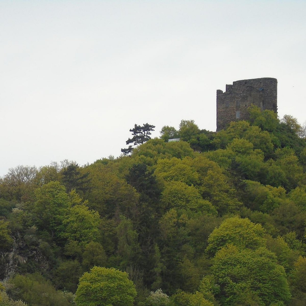 Nollig Castle Lorch Germany Address Free Attraction Reviews