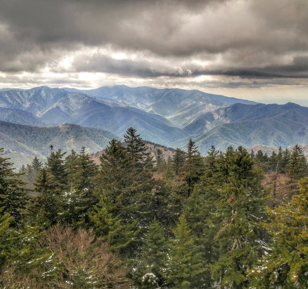 Mount Sterling (Great Smoky Mountains National Park) - All You Need to ...