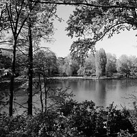 Lietzensee