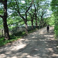 大井弁天の森/散策路が長いので適度な運動にも最適