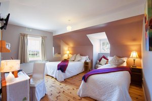 Room & Suite