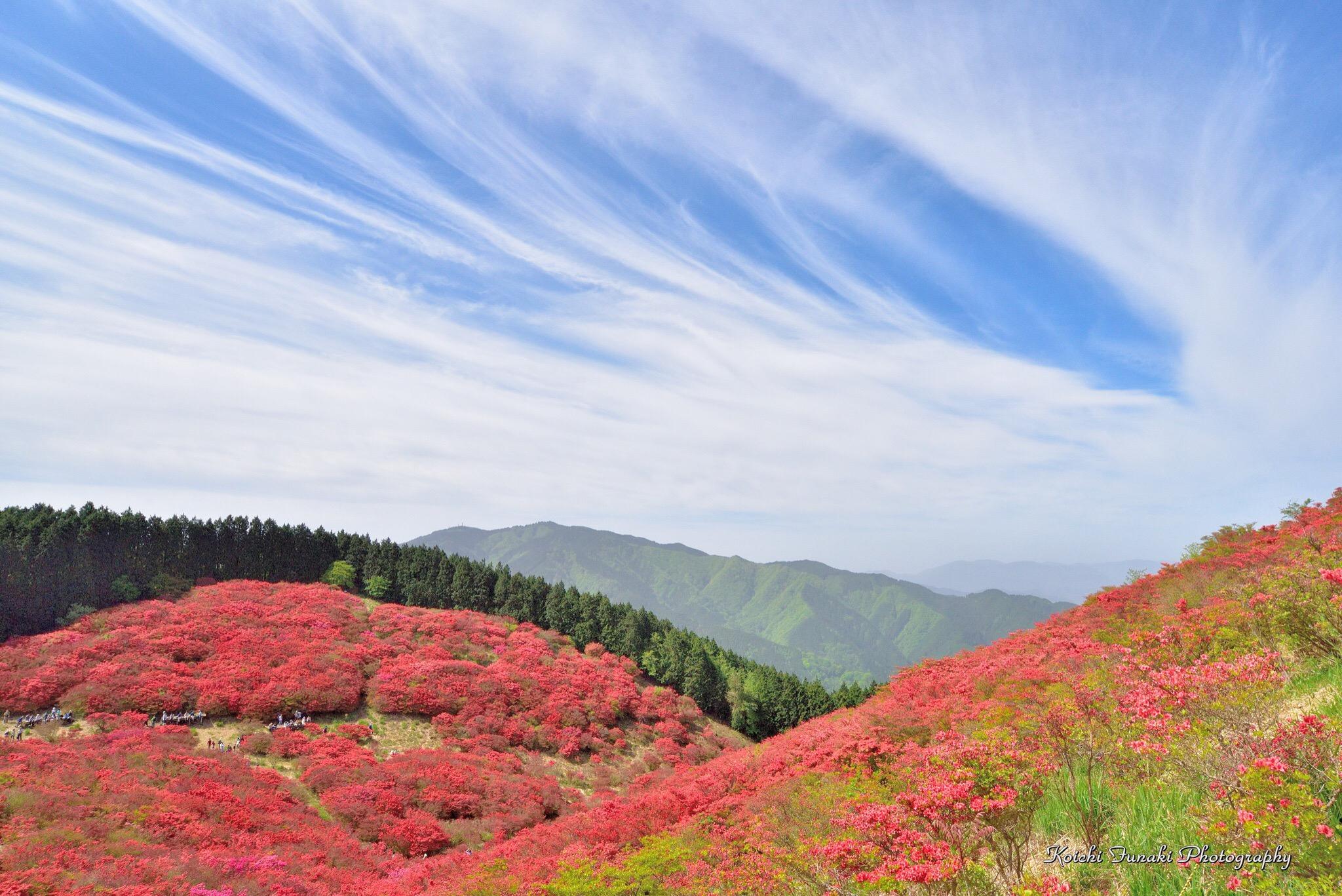 葛城山 ロープウェイ セール ペット 2017