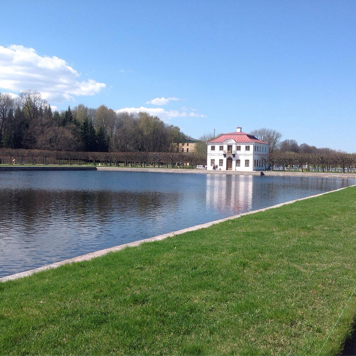 марли в санкт петербурге