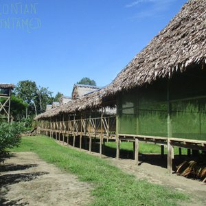amazonian untamed lodge (lili padlodge)