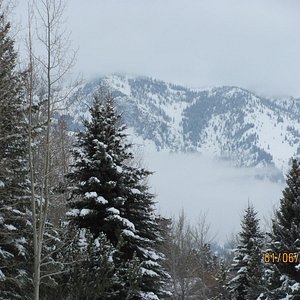 View from trail while X-Country skiing at Teton Pines Resort