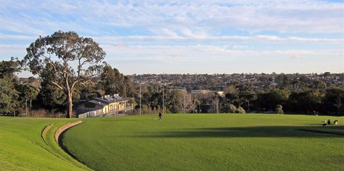 The park