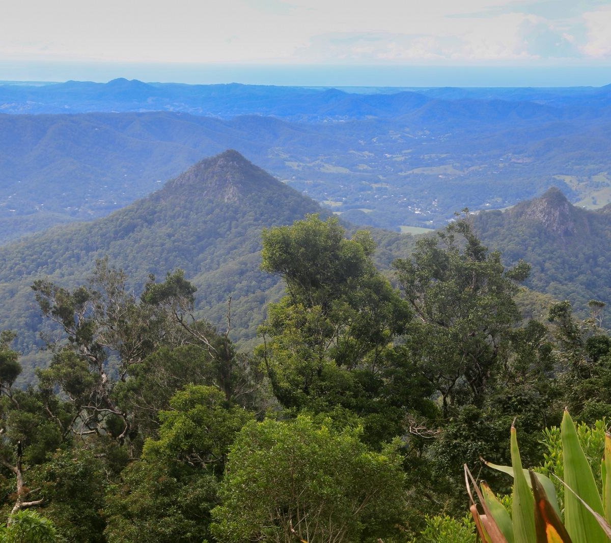 MOUNT WARNING SUMMIT TRAIL: Tutto quello che c'è da sapere