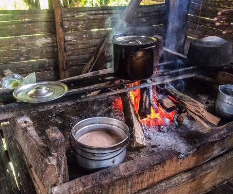 Centro Ashe - Medicinal Plant Education Center - All You Need to Know ...