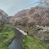 Things To Do in Tamagawa Tsutsumi Cherry Blossom, Restaurants in Tamagawa Tsutsumi Cherry Blossom