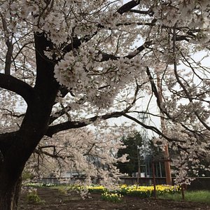 北杜市10 大最佳旅遊景點 Tripadvisor 北杜市10 大最佳旅遊景點 Tripadvisor