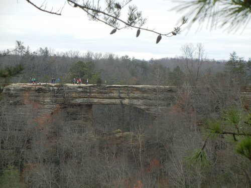 NATURAL BRIDGE CAMPGROUND (SLADE, KY): 63 fotos e avaliações - Tripadvisor