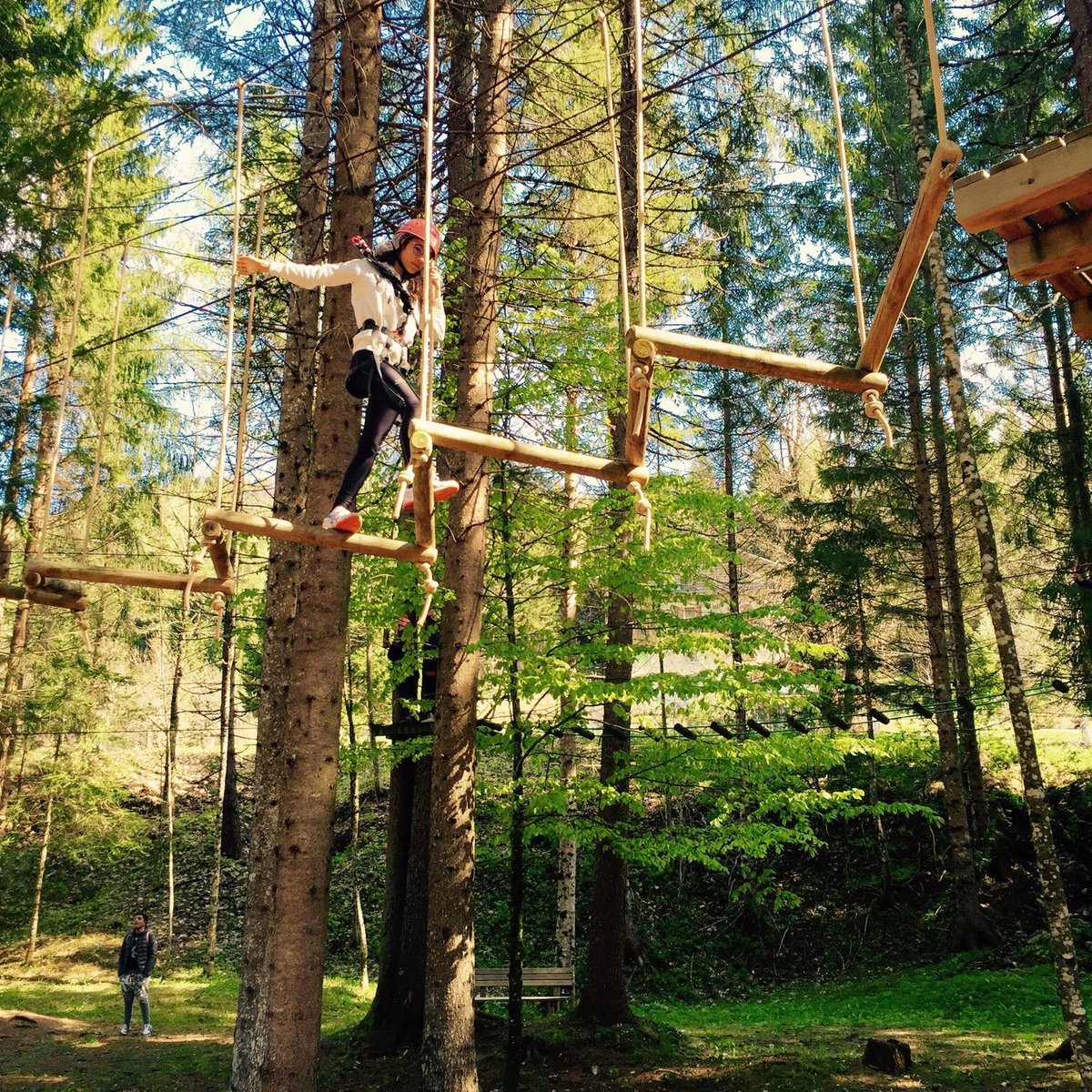 Dolomiti Adventure Park - All You Need to Know BEFORE You Go (2024)