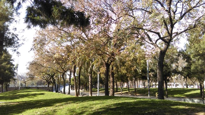 Imagen 1 de Parque de la Barceloneta