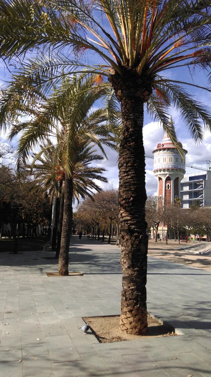 Imagen 6 de Parque de la Barceloneta