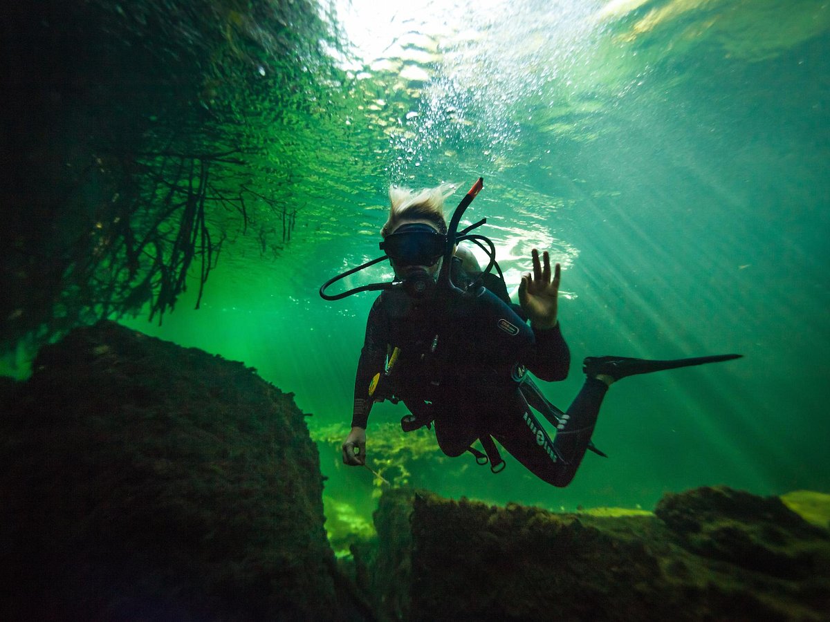 zen diving tulum