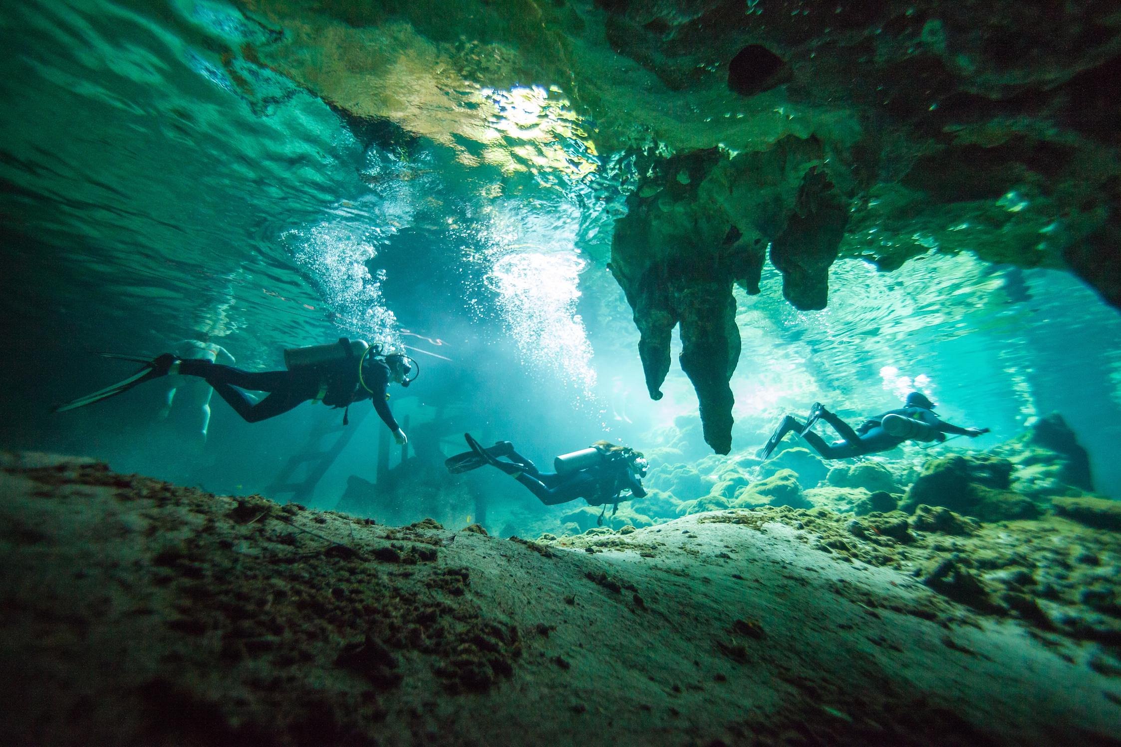 zen diving tulum