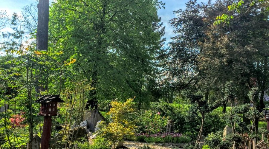 Botanical Garden