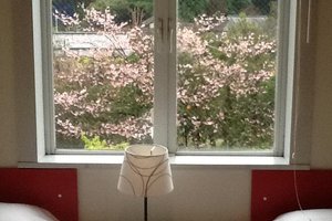 客房及套房