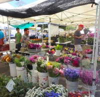 Del Mar Farmers Market/Artisan Open Air Market - All You Need to Know ...