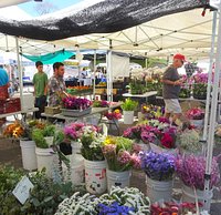 A Huge Flower Selection