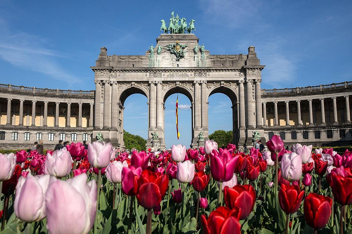 sandemans walking tour brussels