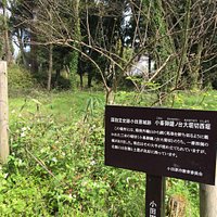 小峯御鐘ノ台大堀切