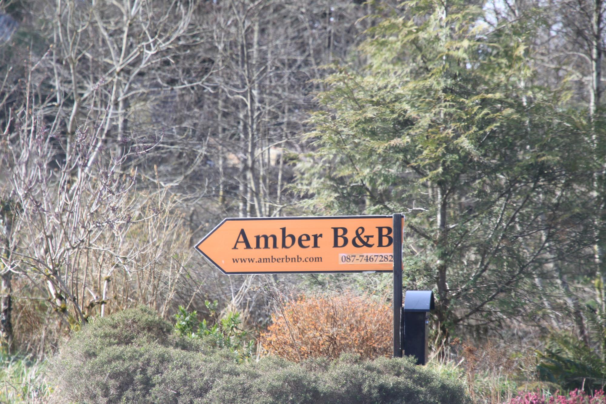 AMBER B&B (Boyle, Irlanda): Prezzi E Recensioni (2024)