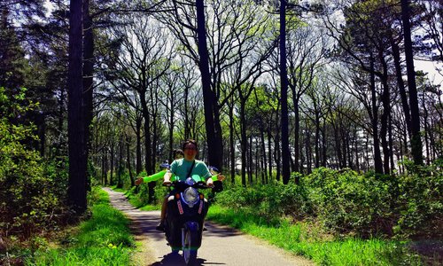 Towards the dunes. In National park Duinen van Texel
