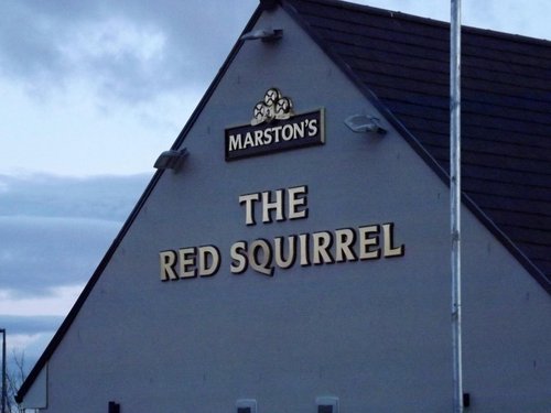 RED SQUIRREL BY MARSTON'S INNS $98 ($̶1̶1̶8̶) - Updated 2023 Prices