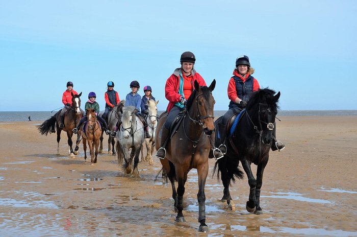 Hot To Trot hit the beach at Holkham