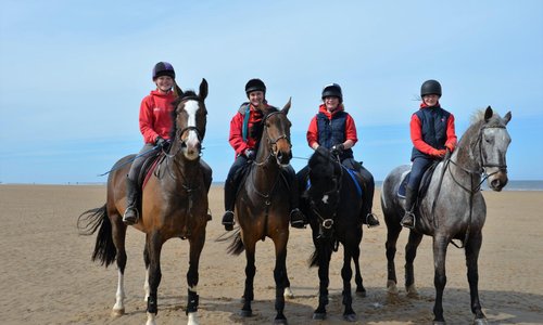 Hannah and her 'Team' at Holkham Beach