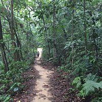 One of the many trails