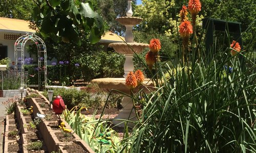 Enjoy our beautiful decorated park